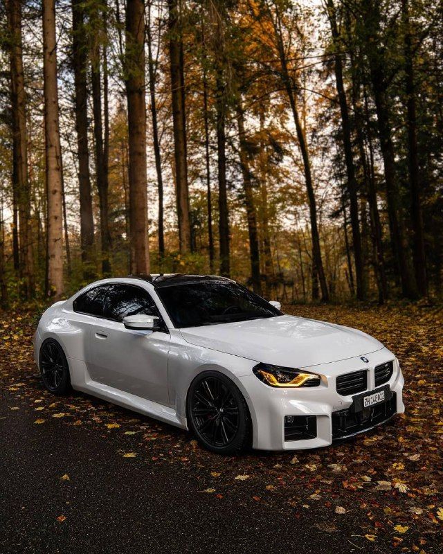 G87 M2